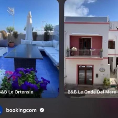 B&B Le Ortensie ซานวิโต โลคาโป ภายนอก รูปภาพ